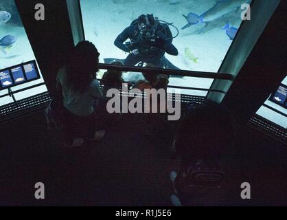 BALTIMORE (Okt. 4, 2018) die United States Naval Academy Marine Diver interagiert mit Besucher beim Tauchen in einer Ausstellung am National Aquarium als Teil von Maryland Fleet Week Air Show und Baltimore. MDFWASB ist Baltimore's Feier der sea Services und bietet die Möglichkeit für die Bürgerinnen und Bürger von Maryland und der Stadt Baltimore zu treffen Seemänner, Marinesoldaten und Küstenwache, sowie Sie aus erster Hand die neuesten Funktionen der heutigen Maritime Services. Stockfoto