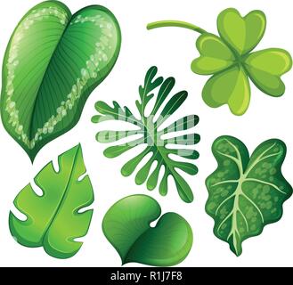 Festlegen der grünen Blätter illustration Stock Vektor
