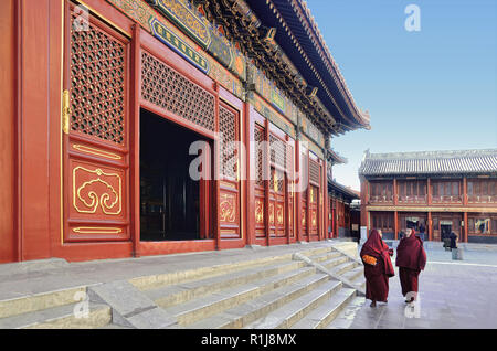 Zwei junge Mönche wandern in Yonghegong Lamatempel, Peking Stockfoto