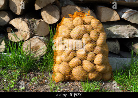 Kartoffeln in Sack in der Nähe von Baumstämmen im Gras Stockfoto