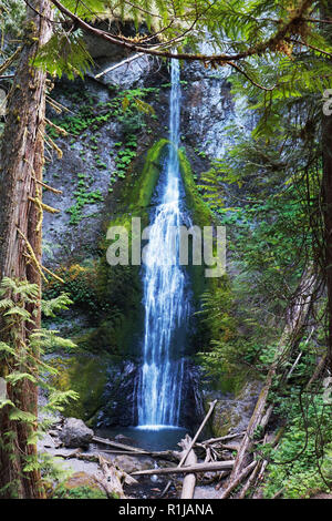 Marymere Falls in der Nähe von Crescent Lake, Olympic National Forest in Washington. Stockfoto