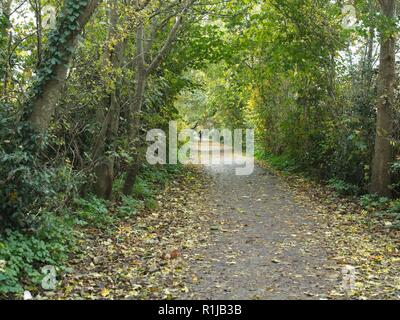 Braunton ein Englisches Dorf in North Devon, Großbritannien Stockfoto