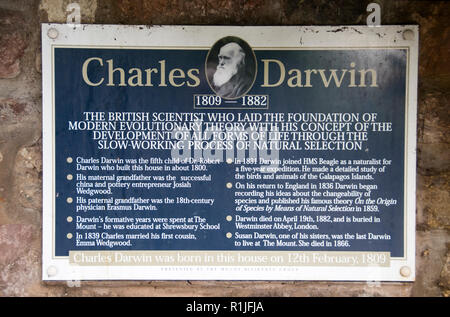 Eine Gedenktafel am Eingang der Geburtsort von Charles Darwin in den Berg, Shrewsbury, Shropshire, Großbritannien Stockfoto