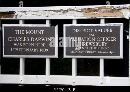 Zwei Gedenktafeln am Eingang der Geburtsort von Charles Darwin in den Berg, Shrewsbury, Shropshire, Großbritannien Stockfoto