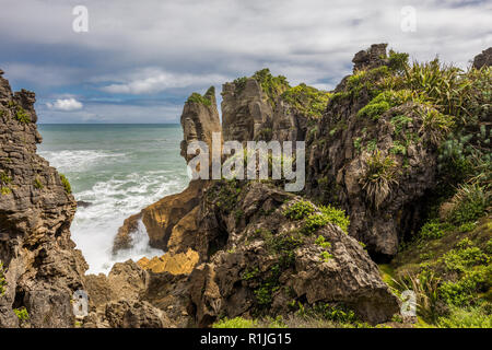 Punakaiki Pancake Rocks und blowholes im Paparoa Nationalpark, Südinsel, Neuseeland Stockfoto