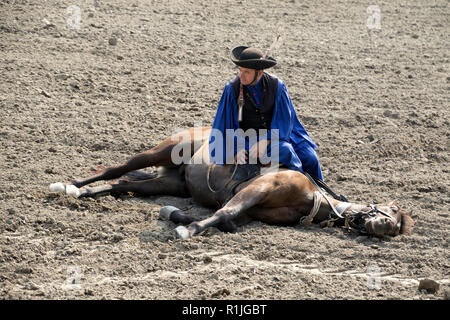 Reitsport in der Region Puszta in Ungarn Stockfoto