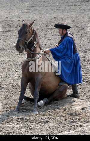 Ein Cowboy zeigt seine reiterlichen Fähigkeiten im Reitsport in der Region Puszta in Ungarn Stockfoto