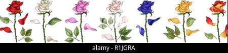 Rosen Hand zeichnen und gefärbt. Eine blühende rosebuds eingestellt. Vector Illustration. Stock Vektor