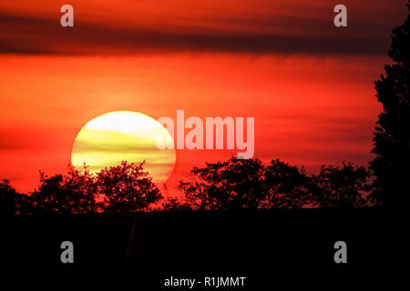 Schönen roten Sonnenuntergang über der Baumgrenze. Die Sonne ist ein bisschen durch das Brechen der Sonnenstrahlen abgeflacht. Stockfoto