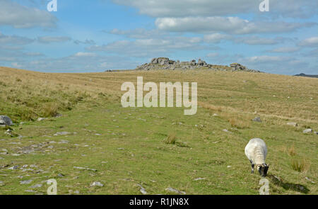 King's Tor auf Dartmoor, Devon Stockfoto