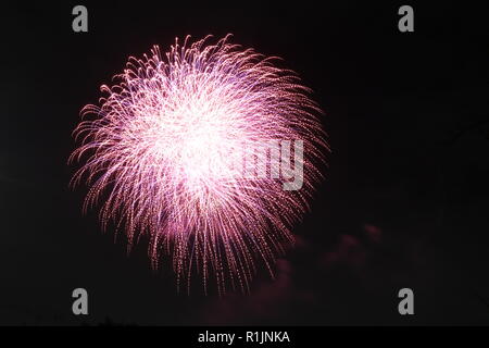 Feuerwerk während einer Fireworks Festival, Tokio, Japan explodiert Stockfoto