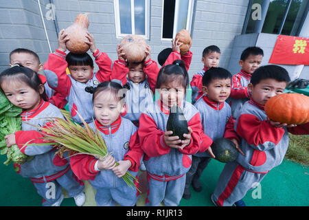 Changxing, der chinesischen Provinz Zhejiang. 13 Nov, 2018. Kinder zeigen Pflanzen und Gemüse während einer amüsanten Sport treffen in der Zentrale des Kindergartens in Changxing County, im Osten der chinesischen Provinz Zhejiang, Nov. 13, 2018. Credit: Xu Yu/Xinhua/Alamy leben Nachrichten Stockfoto