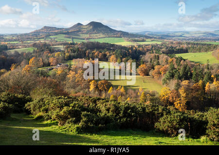 Eildon Hills, Melrose, Scottish Borders. 13. Nov 2018. UK Wetter: warmen sonnigen November in den Scottish Borders, Donnerstag, den 13. November, Herbst Farben in der Tweed Valley mit dem Eildon Hills von Scott's View in der Nähe von Melrose gesehen. Quelle: David Kilpatrick/Alamy leben Nachrichten Stockfoto