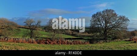 Cumbria GROSSBRITANNIEN. 13. November 2018. UK Wetter. Sonnenschein und Duschen von birkrigg Gemeinsamen in der Nähe von Ulverston. Kredit c Halle/Alamy Leben Nachrichten. Stockfoto