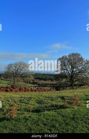 Cumbria GROSSBRITANNIEN. 13. November 2018. UK Wetter. Sonnenschein und Duschen von birkrigg Gemeinsamen in der Nähe von Ulverston. Kredit c Halle/Alamy Leben Nachrichten. Stockfoto