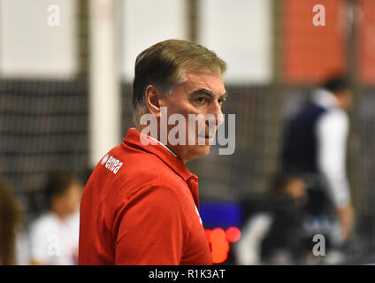 Novi Sad, Serbien, 13. November 2018 CEV Volleyball Champions League dritte Runde der Qualifikationen zwischen NS-Seme Vojvodina (Serbien) und Chaumont VB 52 HM (Frankreich) Foto Nenad Mihajlovic Credit: Nenad Mihajlovic/Alamy leben Nachrichten Stockfoto