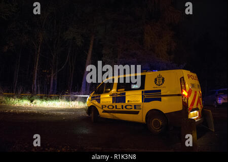 Cumbernauld, Großbritannien. 13 Nov, 2018. Polizei Zwischenfall, der einen vermuteten Angriff in der Gegend von Seafar Cumbernauld bei 8 Uhr. Die Polizei hat die Stelle mit Klebeband abgesperrt und untersucht, aber keine Details. Eine Person hat sich in einen Krankenwagen mit Blaulicht und Sirene auf. Ein Auto bleibt auf der Szene zusammen mit einer stark bewaldeten Gebiet für Untersuchung abgesperrt. Rund 5 Offiziere, 2 Polizei und Krankenwagen waren anwesend. Credit: Colin Fisher/Alamy leben Nachrichten Stockfoto