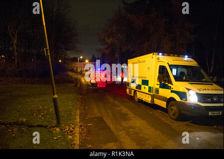 Cumbernauld, Großbritannien. 13 Nov, 2018. Polizei Zwischenfall, der einen vermuteten Angriff in der Gegend von Seafar Cumbernauld bei 8 Uhr. Die Polizei hat die Stelle mit Klebeband abgesperrt und untersucht, aber keine Details. Eine Person hat sich in einen Krankenwagen mit Blaulicht und Sirene auf. Ein Auto bleibt auf der Szene zusammen mit einer stark bewaldeten Gebiet für Untersuchung abgesperrt. Rund 5 Offiziere, 2 Polizei und Krankenwagen waren anwesend. Credit: Colin Fisher/Alamy leben Nachrichten Stockfoto