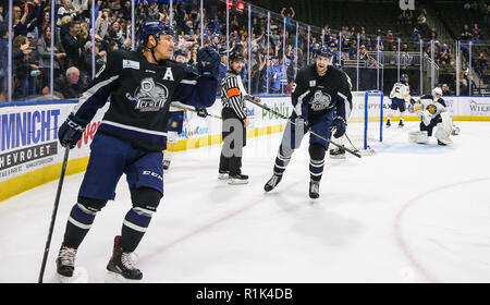 12.11.2011 - Jacksonville, FL, USA: Jacksonville Eisgruben steigt vorwärts Wacey Hase (20), Links, feiert seine Partitur mit Cam Maclise (8) während der ersten Zeit der ein echl Professional Hockey am Veterans Memorial Arena in Jacksonville, Fla., Monday, November 12, 2018. Eisgruben steigt gewann in einem Shoot-out 3-2. (Gary Lloyd McCullough/Cal Sport Media) Stockfoto