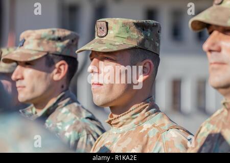 Ein rumänischer Soldat mit Battle Group Polen steht an der Stelle der Aufmerksamkeit während einer Übertragung der Autorität Zeremonie an Bemowo Piskie, Polen, Okt. 04, 2018. Gruppe Polen ist ein einzigartiges, multinationale Koalition von USA, Großbritannien, Kroatischen und rumänischen Soldaten, die mit der polnischen 15 mechanisierte Brigade als Abschreckung für die Unterstützung des NATO-Enhanced vorwärts Präsenz dienen. ( Stockfoto