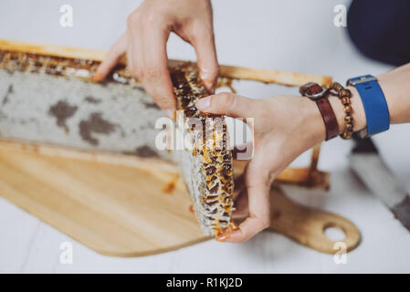 Holding einen Rahmen der Waben. Waben in einen Holzrahmen mit Zellen von Honig mit Wachs versiegelt Stockfoto