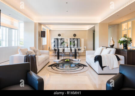 Monochrome moderne Wohnzimmer Stockfoto
