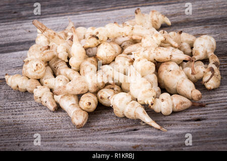 Japanische crosne Stachys affinis Knollen Rhizom Wurzelgemüse closeup Stockfoto