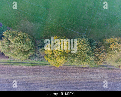 Blick nach unten in Baumkronen im frühen Herbst, Park auf der einen Seite, die anderen Felder. Kent, England Stockfoto