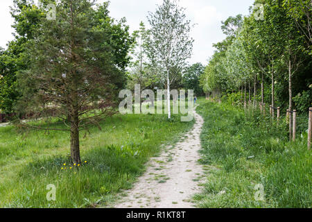 New River Pfad im Frühjahr, Hornsey, London, UK Stockfoto