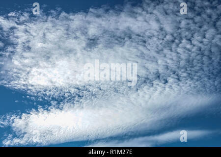 Altocumulus Wolken am blauen Himmel sehen aus wie ein Wal am hohen Himmel Stockfoto