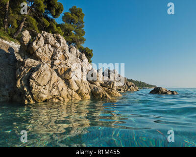 Pinien über Meer Felsen über kristallklarem, türkisfarbenem Wasser, Kastani Mamma Mia Strand, Insel Skopelos, Griechenland Stockfoto
