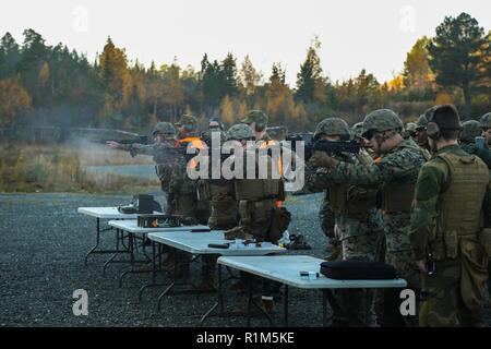 Die norwegische Home Guard Züge U.S. Marines mit 2. Marine Logistik Group-Forward auf verschiedenen Gewehren durch die Norweger während der Übung Trident Punkt 18 in der Hölle, Norwegen, Okt. 12, 2018 verwendet. Die Norweger ausgebildete US-Marines auf der Einarbeitung der verschiedenen Gewehren durch die Norweger verwendet, um die USA und die NATO-Verbündeten und Partnern "Fähigkeit zur Zusammenarbeit militärische Operationen unter schwierigen Bedingungen zu verbessern. Stockfoto