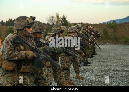 Die norwegische Home Guard Züge U.S. Marines mit 2. Marine Logistik Group-Forward auf verschiedenen Gewehren durch die Norweger während der Übung Trident Punkt 18 in der Hölle, Norwegen, Okt. 12, 2018 verwendet. Die Norweger ausgebildete US-Marines auf der Einarbeitung der verschiedenen Gewehren durch die Norweger verwendet, um die USA und die NATO-Verbündeten und Partnern "Fähigkeit zur Zusammenarbeit militärische Operationen unter schwierigen Bedingungen zu verbessern. Stockfoto