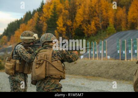 Die norwegische Home Guard Züge U.S. Marines mit 2. Marine Logistik Group-Forward auf verschiedenen Gewehren durch die Norweger während der Übung Trident Punkt 18 in der Hölle, Norwegen, Okt. 12, 2018 verwendet. Die Norweger ausgebildete US-Marines auf der Einarbeitung der verschiedenen Gewehren durch die Norweger verwendet, um die USA und die NATO-Verbündeten und Partnern "Fähigkeit zur Zusammenarbeit militärische Operationen unter schwierigen Bedingungen zu verbessern. Stockfoto