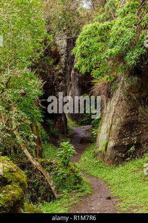 Felsenlabyrinth, Asilo de la Paz, Hochland von floreana oder Charles Island, Galapagos, Ecuador Stockfoto