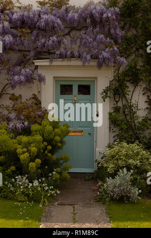 Preety vordere Tür im Georgianischen Stil mit blühenden wysteria Um den Türrahmen, Chichester, West Sussex, Großbritannien Stockfoto