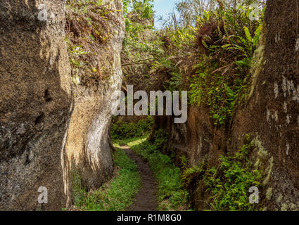 Felsenlabyrinth, Asilo de la Paz, Hochland von floreana oder Charles Island, Galapagos, Ecuador Stockfoto