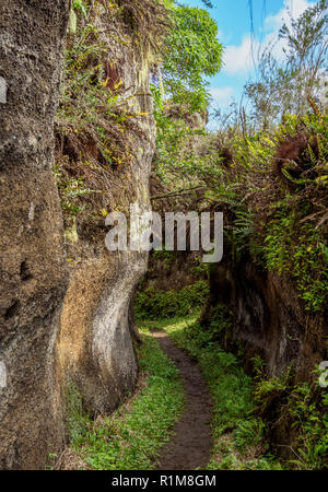 Felsenlabyrinth, Asilo de la Paz, Hochland von floreana oder Charles Island, Galapagos, Ecuador Stockfoto