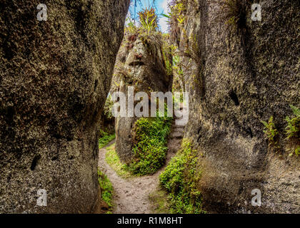 Felsenlabyrinth, Asilo de la Paz, Hochland von floreana oder Charles Island, Galapagos, Ecuador Stockfoto