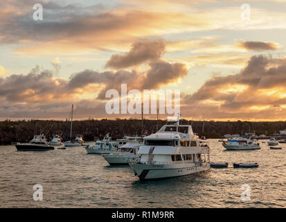 Sonnenuntergang über Puerto Ayora Santa Cruz oder unermüdlicher Island, Galapagos, Ecuador Stockfoto