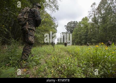 Naval Reserve Officer Training Corps Midshipmen von der Tulane University, an der südlichen Universität und Platoon Führung Kurs, Patrouille ein Pfad während die kleine Einheit Führung Auswertungen an Hopper Park, in Baton Rouge, La., 20. Oktober 2018. Marines von Marine Reserve, in New Orleans, unterstützt in der SULEs zu Erfahrung und Einsicht für midshipman zur Verfügung stellen, um sie besser für die Officer Candidate School und für Ihre zukünftige militärische Karriere vorzubereiten. Stockfoto