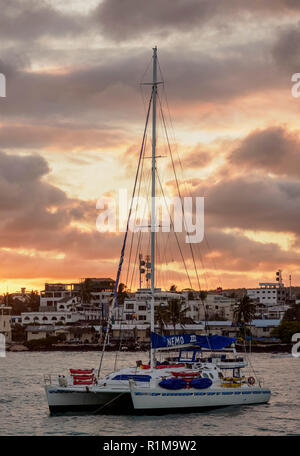 Sonnenuntergang über Puerto Ayora Santa Cruz oder unermüdlicher Island, Galapagos, Ecuador Stockfoto