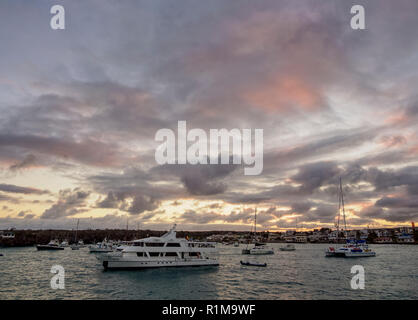 Sonnenuntergang über Puerto Ayora Santa Cruz oder unermüdlicher Island, Galapagos, Ecuador Stockfoto