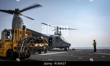 Arabische Meer (Okt. 2010) 21, 2018) Eine MV-22 Osprey tiltrotor Aircraft, die an der "Elche" der Marine Medium Tiltrotor Squadron (VMM) 166 (verstärkt), erstellt von der Flight Deck von Wasp-Klasse amphibisches Schiff USS Essex (LL 2), die während einer planmäßigen Einsatz von Essex Amphibious Ready Gruppe und 13 Marine Expeditionary Unit. USS Essex ist eine flexible und hartnäckige Navy-Marine Corps Team in die USA 5 Flotte Bereich der Maßnahme zur Unterstützung der Marine im Einsatz für die Stabilität und Sicherheit in der Region zu gewährleisten und verbindet das Mittelmeer und die Stockfoto