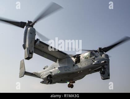 Arabische Meer (Okt. 2010) 21, 2018) Eine MV-22 Osprey tiltrotor Aircraft, die an der "Elche" der Marine Medium Tiltrotor Squadron (VMM) 166 (verstärkt), startet von der Flight Deck von Wasp-Klasse amphibisches Schiff USS Essex (LL 2), die während einer planmäßigen Einsatz von Essex Amphibious Ready Gruppe und 13 Marine Expeditionary Unit. USS Essex ist eine flexible und hartnäckige Navy-Marine Corps Team in die USA 5 Flotte Bereich der Maßnahme zur Unterstützung der Marine im Einsatz für die Stabilität und Sicherheit in der Region zu gewährleisten und verbindet das Mittelmeer und den Pazifischen Raum. Stockfoto