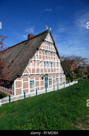 Altes Bauernhaus an der Este - Deich, Jork-Koenigreich, Altes Land, Niedersachsen, Deutschland, Europa Stockfoto