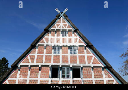 Altes Bauernhaus an der Este - Deich, Jork-Koenigreich, Altes Land, Niedersachsen, Deutschland, Europa Stockfoto