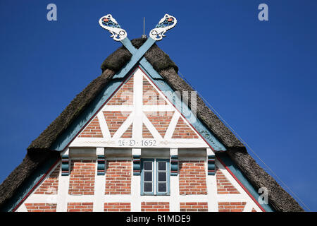 Altes Bauernhaus an der Este - Deich, Jork-Koenigreich, Altes Land, Niedersachsen, Deutschland, Europa Stockfoto