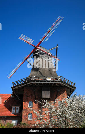 Windmühle AURORA in Borstel, Altes Land, Niedersachsen, Deutschland, Europa Stockfoto