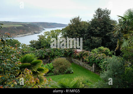 Overbeck's National Trust Garten in der Nähe von Salcombe. Blick auf Garten und Foliaged Wand nach Salcombe Mündung. Black Eyed Susan Rudbeckia hirta Stockfoto